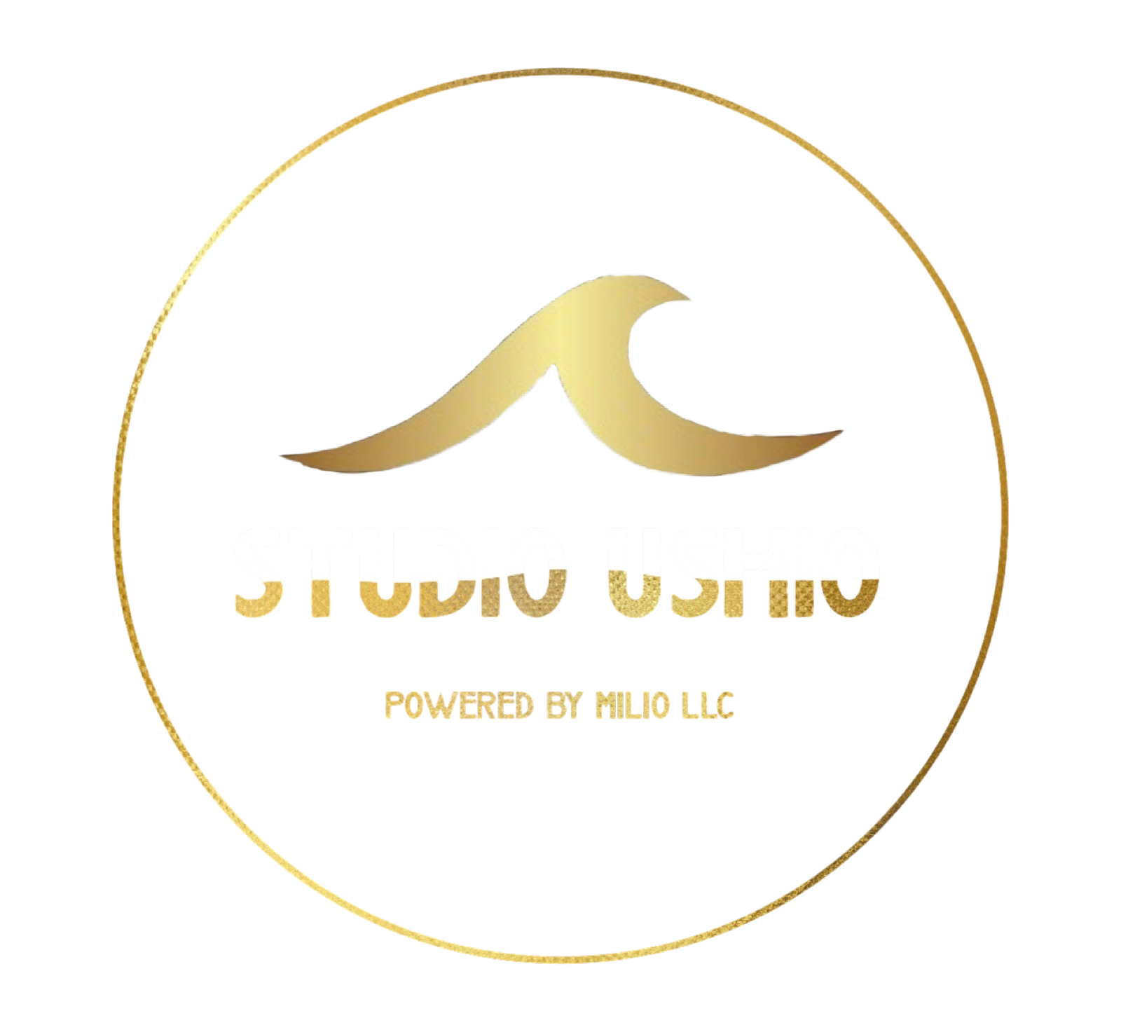 STUDIO USHIO